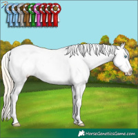 Horse Color:Smoky Creme Dun Near Leopard 