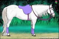 Horse Color:Palomino Appaloosa