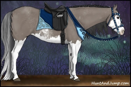 Horse Color:Grullo Sabino Splash