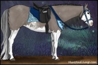 Horse Color:Grullo Sabino Splash 