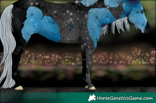 Horse Color:ERROR: UNKNOWN ANOMALY