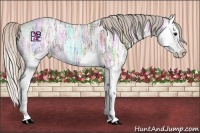 Horse Color:Silver Black Ice Splash Rabicano