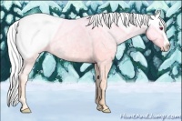Horse Color:Gold Champagne Chinchilla Ice Roan Splash