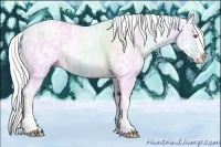 Horse Color:Gold Champagne Chinchilla Ice Splash 