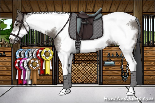 Horse Color:Grullo Sabino Tobiano Frame 