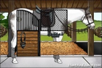 Horse Color:Grullo Sabino Tobiano Frame
