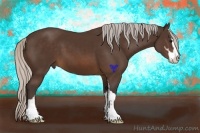 Horse Color:Silver Brown Sabino 