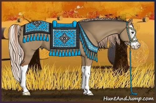 Horse Color:Liver Red Dun Splash