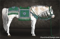 Horse Color:Brown Dun Sabino