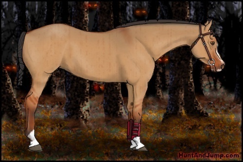 Horse Color:Bay Dun Sabino Brindle 