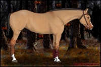 Horse Color:Bay Dun Sabino Brindle