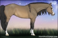 Horse Color:Buckskin Dun Sabino