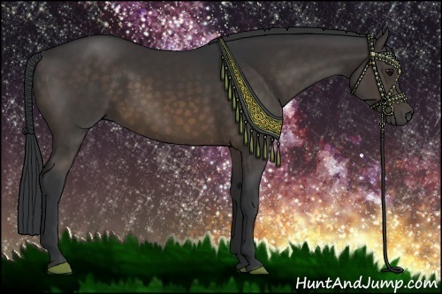 Horse Color:Brown 