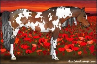 Horse Color:White Spotted Brown 