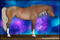 Horse Color:Silver Brown Rabicano 