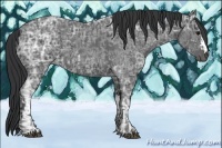 Horse Color:Blue Ice Roan  and Blue Ice Roan 