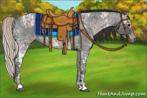 Horse Color:Blue Ice Roan  and Silver Blue Ice Roan 