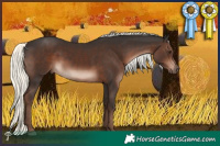 Horse Color:Liver Chestnut Mushroom