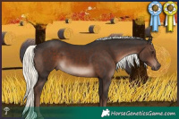 Horse Color:Liver Chestnut Mushroom 