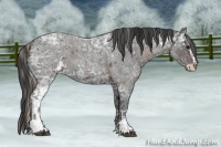 Horse Color:Silver Blue Ice Roan Sabino and Blue Ice Roan Sabino