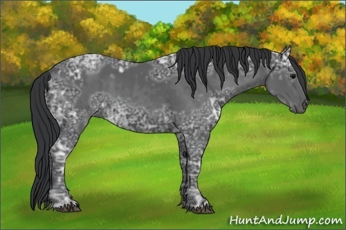 Horse Color:Blue Ice Roan and Black Ice