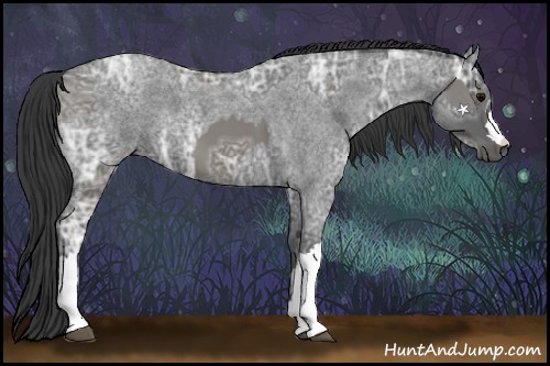 Horse Color:Grullo Ice  and Blue Ice Roan 