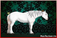 Horse Color:White Spotted Silver Black Chinchilla Ice Tobiano Appaloosa  and White Spotted Classic Champagne Ice Onyx Tobiano Appaloosa 