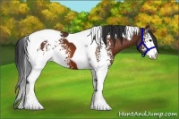 Horse Color:White Spotted Bay Tobiano