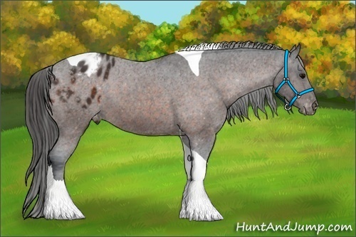 Horse Color:Brown Tobiano Varnish 
