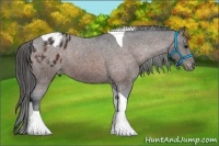 Horse Color:Brown Tobiano Varnish 