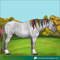 Horse Color:Painted Watercolor Blue Ice Roan Pearl  and Blue Ice Roan 