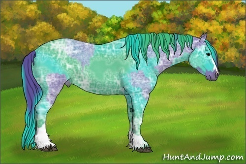 Horse Color:Watercolor Blue Ice Roan  and Watercolor Blue Ice Roan Appaloosa 