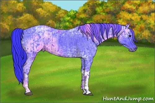 Horse Color:Watercolor Blue Ice Roan  and Watercolor Blue Ice Roan 