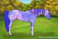 Horse Color:Watercolor Blue Ice Roan and Watercolor Blue Ice Roan