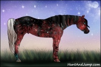 Horse Color:ERROR: UNKNOWN ANOMALY and ERROR: UNKNOWN ANOMALY