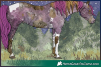 Horse Color:Brown Ice Pearl  and Black Ice Pearl Tobiano 