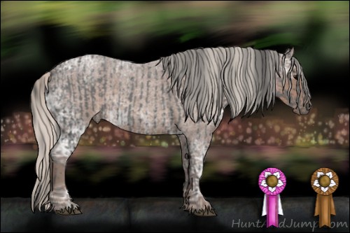 Horse Color:Blue Ice Roan  and Silver Blue Ice Roan 