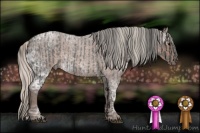 Horse Color:Blue Ice Roan  and Silver Blue Ice Roan 