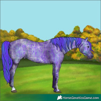 Horse Color:Watercolor Blue Chinchilla Ice Roan  and Watercolor Black Ice 