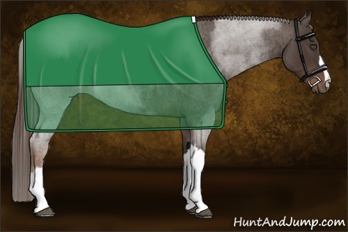 Horse Color:Liver Red Roan 