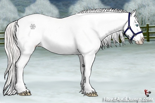 Horse Color:Cremello Appaloosa 