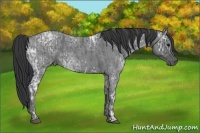 Horse Color:Blue Ice Roan  and Blue Ice Roan 