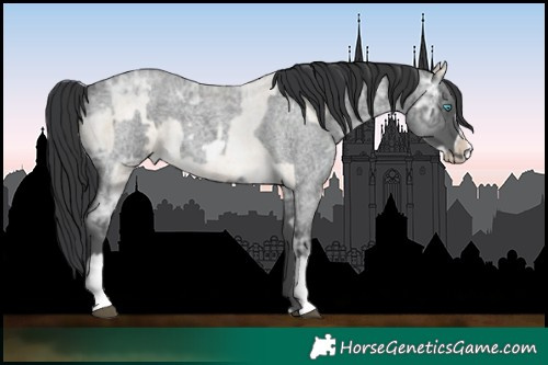 Horse Color:Brown Ice Roan Snowdrop Pearl Splash and Blue Ice Roan Frame Rabicano