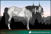 Horse Color:Brown Ice Roan Snowdrop Pearl Splash  and Blue Ice Roan Frame Rabicano 