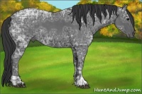 Horse Color:Blue Ice Roan  and Blue Ice Roan 