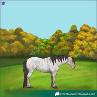 Horse Color:Blue Ice Roan and Classic Champagne Ice Roan