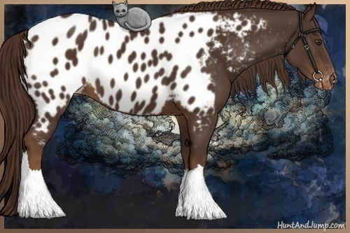Horse Color:Liver Chestnut Near Leopard 