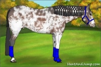 Horse Color:White Spotted Bay Ice
