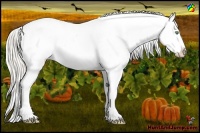 Horse Color:Silver Amber Cream Champagne Roan Dun Splash Blanket 