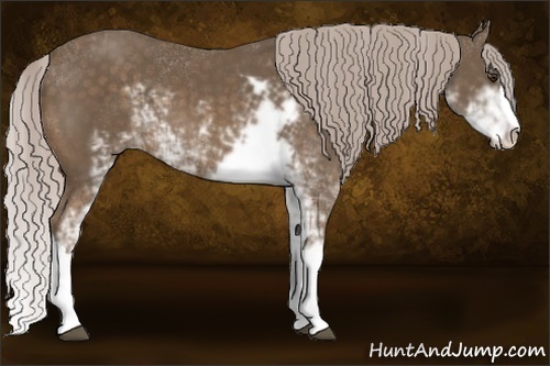 Horse Color:Chocolate Palomino Sabino